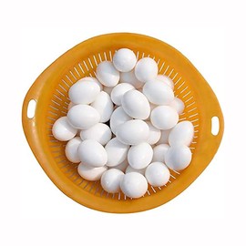 ANCLLO Pack of 20 10 g Solid Plastic Eggs for Racing Pigeons - Solid Plastic Eggs Dummy Eggs for Pigeons White