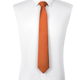 DecTwig Men's Ties Solid Color Formal Neckties 3.15 inch (8CM) Orange Ties For Men