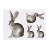 4 x 'Desert Hare' Temporary Tattoos - Water Resistant, Skin-Safe,