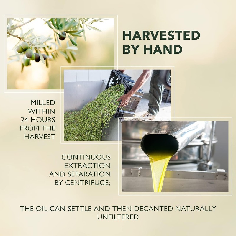 BARBERA Extra Virgin Olive Oil, 33.8 OZ