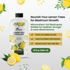 32oz Lemon Tree Fertilizer - Makes 32 Gallons of 2-in-1
