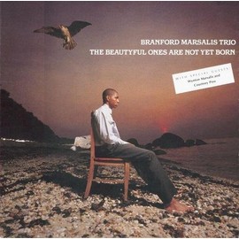 The Beautyful Ones Are Not Yet Born