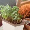 SiliFine 6 Set Window Herb Planter Box Self Watering Plant