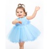 Lilax Baby Girl Tulle Princess Tutu Wedding Dress 3 Piece