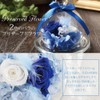 TEATSIGHT Preserved Flower Arrangement, Wrapped, In a Glass Pot, 2 Flowers