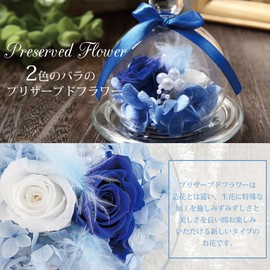 TEATSIGHT Preserved Flower Arrangement, Wrapped, In a Glass Pot, 2 Flowers