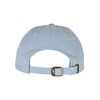Mister Tee Men's Au Revoir Dad Cap One Size Light