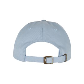 Mister Tee Men's Au Revoir Dad Cap One Size Light Blue/White, Light blue/white