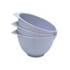 WePrep Mixing Bowl with spout and Handle | Set of