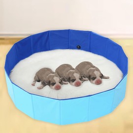 Cdycam Portable Birthing Pool for Dogs and Puppies, Foldable Whelping Pen, Dog Whelping Pool Box, Easy to Clean, Portable Hard Collapsible Pet Swimming Bath Pool(XXL-47"x12")