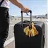 2 Pcs Luggage Pom Poms for Suitcases,Funny Luggage Identifiers with