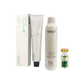 Bremod Premium Series Milk Tea Ash Hair Color Set (6% Milk Tea Ash)
