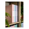 Eastlight A4 Ring Binder 2-O Ring Pastel Colour Assorted Pack