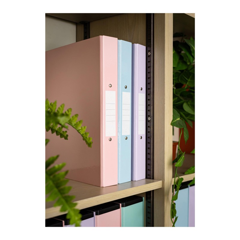 Eastlight A4 Ring Binder 2-O Ring Pastel Colour Assorted Pack