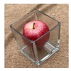 Decorative Glass Flower Vase, 4x4x4 inches, Square, Clear Centerpiece 2
