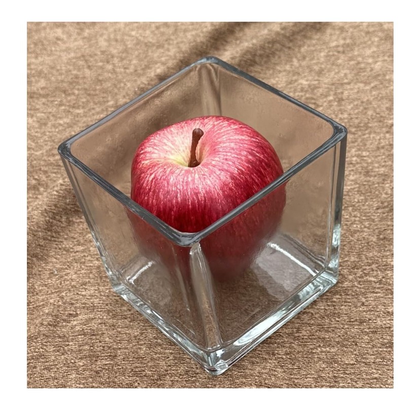 Decorative Glass Flower Vase, 4x4x4 inches, Square, Clear Centerpiece 2