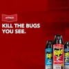 Raid Ant Killer Spray Pine Forest, 17.5 OZ (Pack -