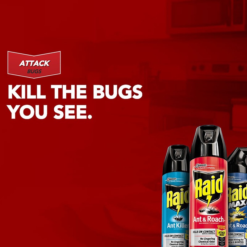 Raid Ant Killer Spray Pine Forest, 17.5 OZ (Pack -