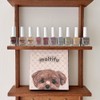 Yogurt Gel Maltipoo Ink Gel Tint 10 Piece Set /