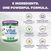 Vital Planet Vital Planet - Vital Gut Renew Powder Supplement