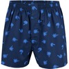 City Life Pack of 3 Men's Boxer Shorts Boxer Webboxer