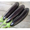 CEMEHA SEEDS - Eggplant Aubergin Black Long Pop Thai Non