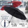 Leiskya Folding Umbrella, Diameter 41.3 inches (105 cm), 12 Ribs,