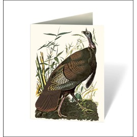 Audubon's Birds of America: An Abbeville Notecard Set