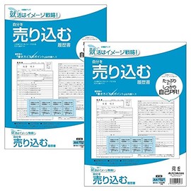 apika Pitch Yourself Resume A4 (Two-Page Spread A3), 4 Piece, Security Tinted Envelope 3 Piece SY36 Set of 2 