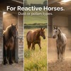 Freestep RespriFree Horse Respiratory Supplement, Rosehip, Magnesium, Cough