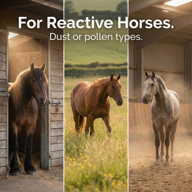 Freestep RespriFree Horse Respiratory Supplement, Rosehip, Magnesium, Cough