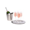 IMPULSE! Crystal Champagne Flute Set of 6 for Kitchen Set,