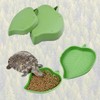 XPEX 2 Pack Leaf Feeding Bowls, Reptile Water Bowls, Feeding