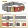 QRDA Dog Collar and Leash Set Silver Gray Adjustable Durable
