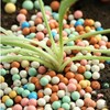 2 lb Clay Pebbles Clay Balls for Plants 6mm-8mm Mini
