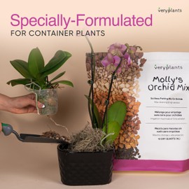 Molly's Orchid Potting Mix - Premium Gritty Soilless Orchid Mix - Chunky High Drainage vs Standard Potting Soil for Indoor Plants - Contains Bark, Coco Chips, Akadama, Pumice, Lava Rock 3 Dry Quarts