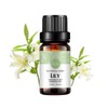 Lily Essential Oil 100% Pure Oganic Plant Natrual Lily Oil