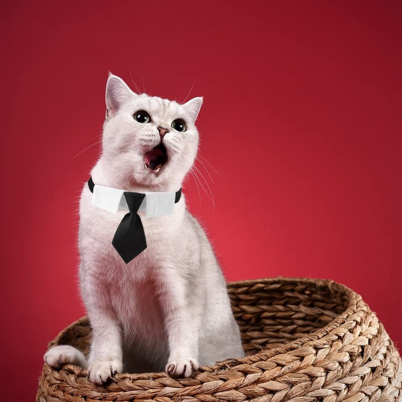 XZYZ Dog Collar, Soft Polyester Dog Bow Tie with Metal