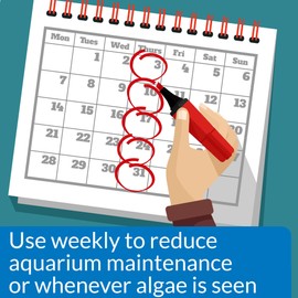 API ALGAEFIX Algae Control 1.25-Ounce Bottle