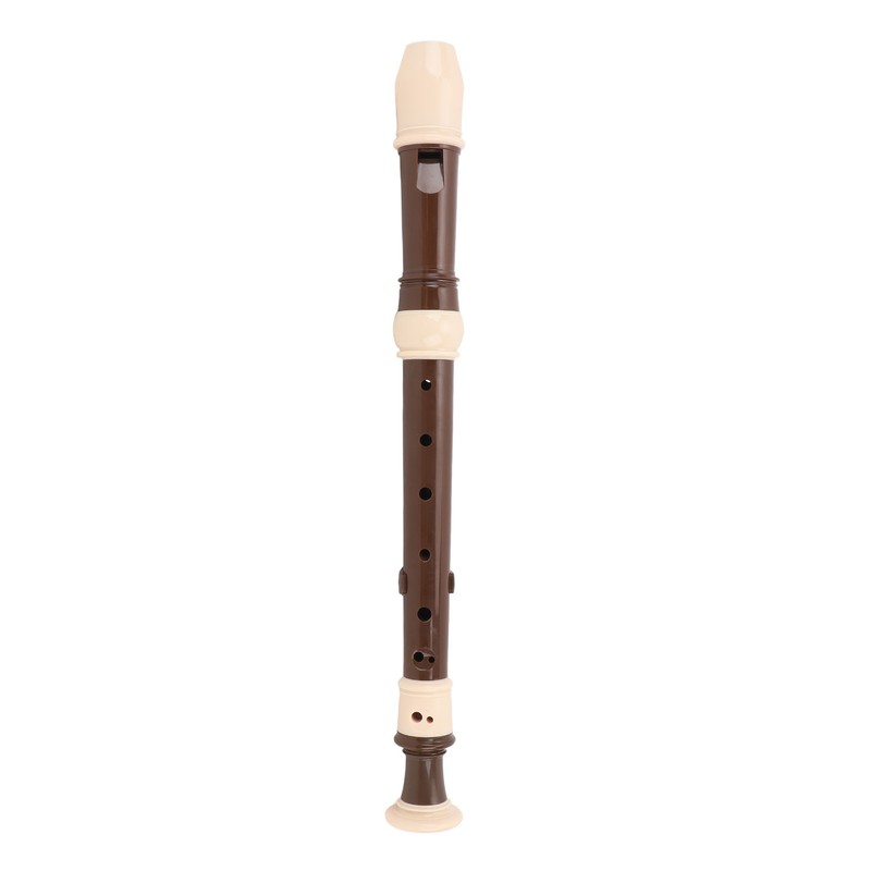 8 Hole Recorder Detachable Soprano Recorder Musical Instrument with Cleaning