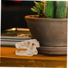 Ciieeo Resin Dinosaur Skull Model Simulated Skull Decoration for Office