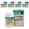 From Formula cat nutrition, 70g, comprehensive nutrition, 5 pcs / 프롬포뮬라 고양이 영양제, 70g, 종합영양제, 5개