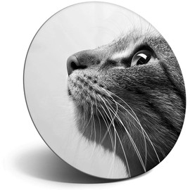 Destination Vinyl ltd Magnet for Refrigerator, Fridge BW - Cute Cats Face Close Up Cat Pet for Office, Cabinet and Whiteboard, Magnetic Stickers, 36327