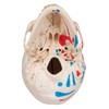 3B Scientific Classic Skull, Painted, 3-Part