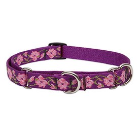 LupinePet Originals 3/4" Rose Garden 14-20" Martingale Collar for Medium and Larger Dogs