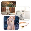 Cat Collar Adjustable Kitten Collar with Bell and Quick Release