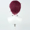 LAOBAO Cosplay Wig, Tendo Tenhiko, Burgundy Wig, Heat Resistant, For