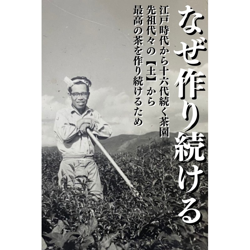 Yoshida Meisha Garden Matcha Powder, 1.1 oz (30 g)