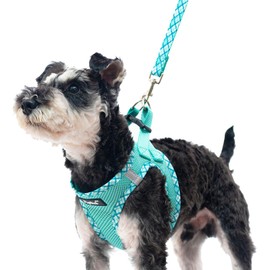 PUPTECK Step-in Dog Harness Small Dog No Pull Vest and Lead Set for Puppy Cats Outdoor Walking, Green M