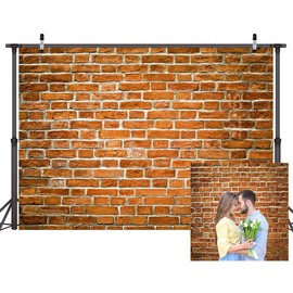 LYWYGG 7x5FT Brick Backdrop - Birthday Photography Props - Vinyl Newborn Photography Backdrop CP-258